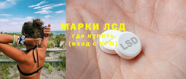 шишки Новодвинск