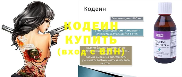 шишки Новодвинск