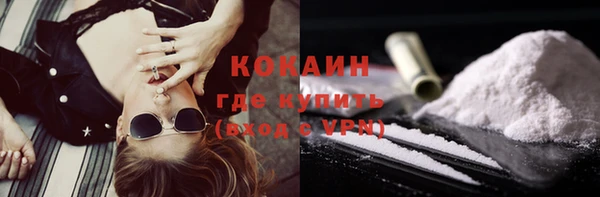 индика Белая Холуница