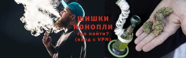 шишки Новодвинск