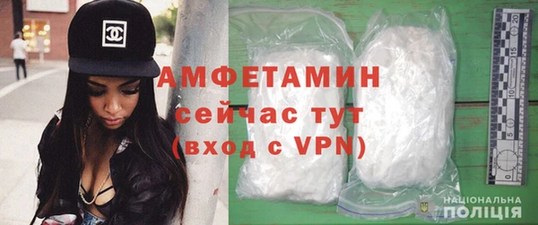 шишки Новодвинск