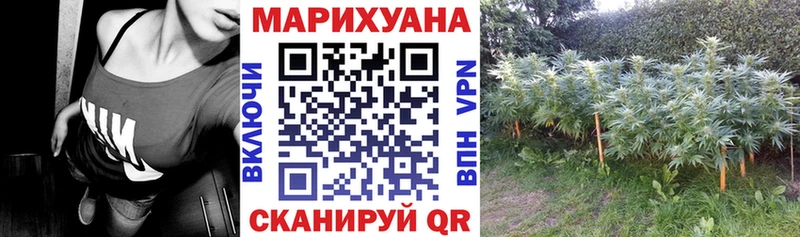 Шишки марихуана марихуана  Горячеводский 